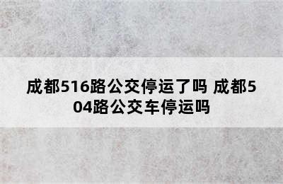 成都516路公交停运了吗 成都504路公交车停运吗